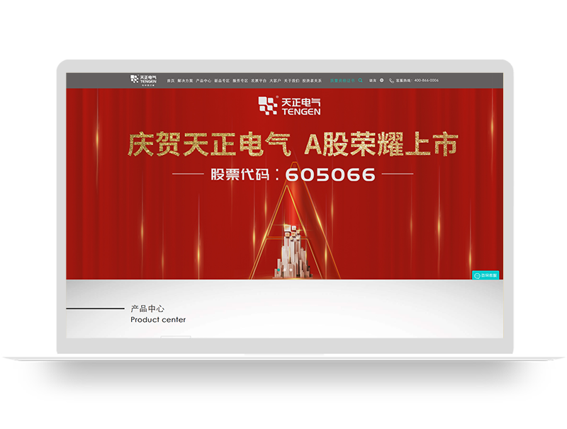 電氣集團官網設計 中英文企業(yè)網站建設 品牌營銷型